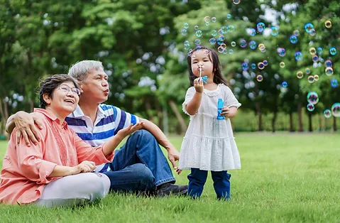Parent and Grandparent Sponsorship